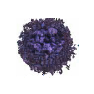 Mineral Eye Dust - Fabulous Grape